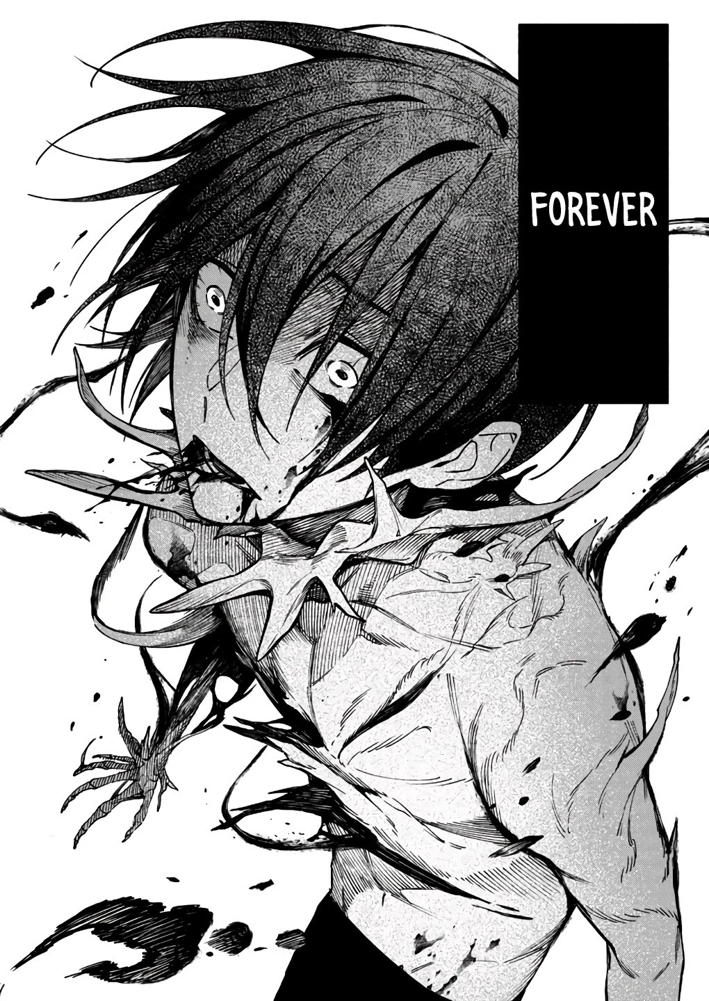 My Companion Is the Strongest Undead in Another World Chapter 2 page 5 - Chapter 2