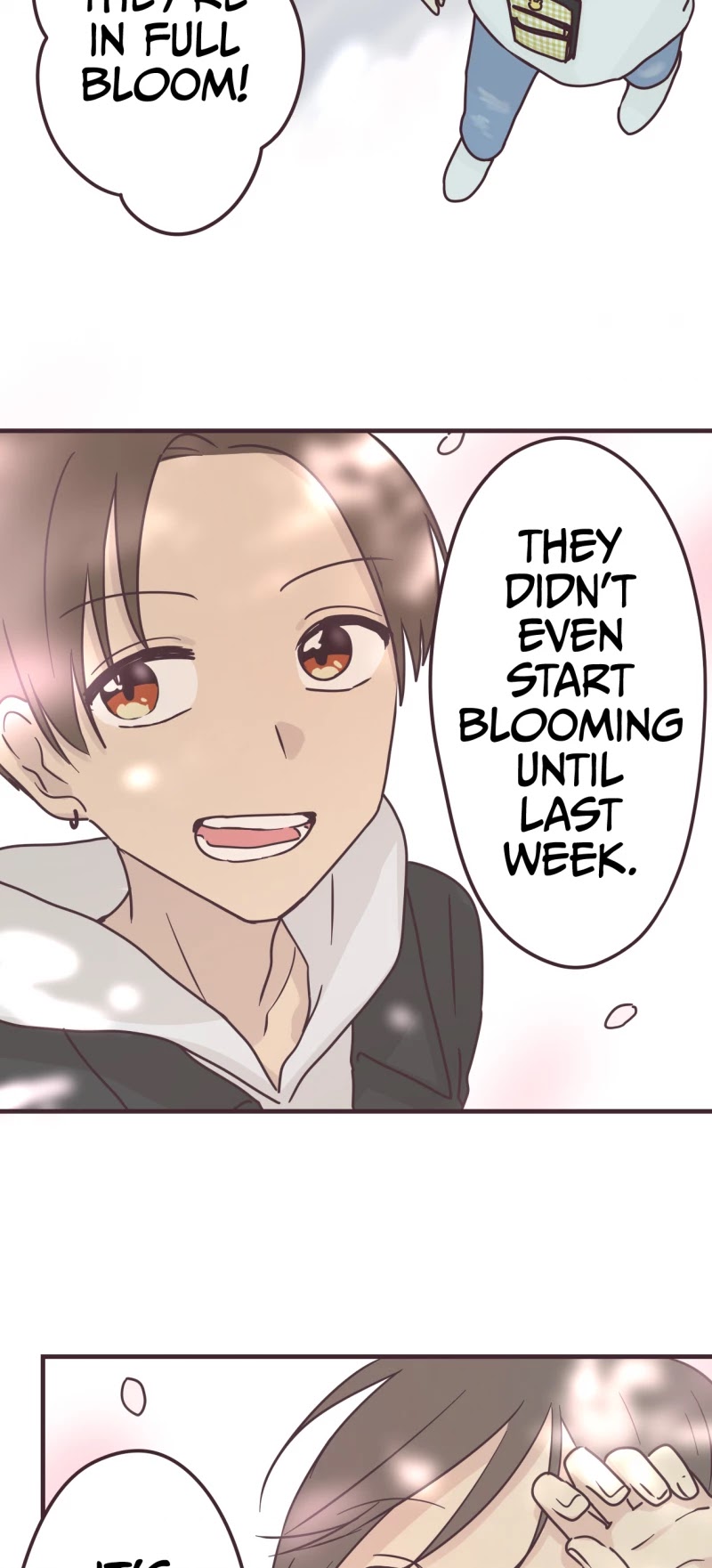 My Crossdressing Senpai Chapter 85 page 19 - Chapter 85: Choose