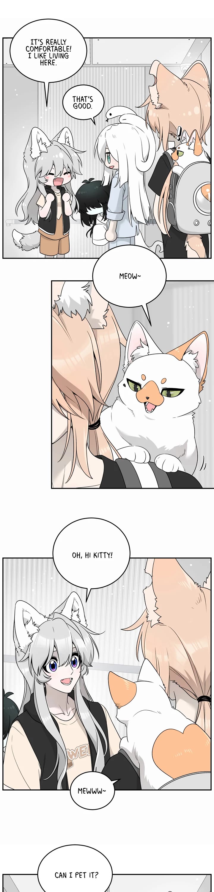 My Food Looks Very Cute Chapter 144 page 13 - Chapter 144: New Tenant