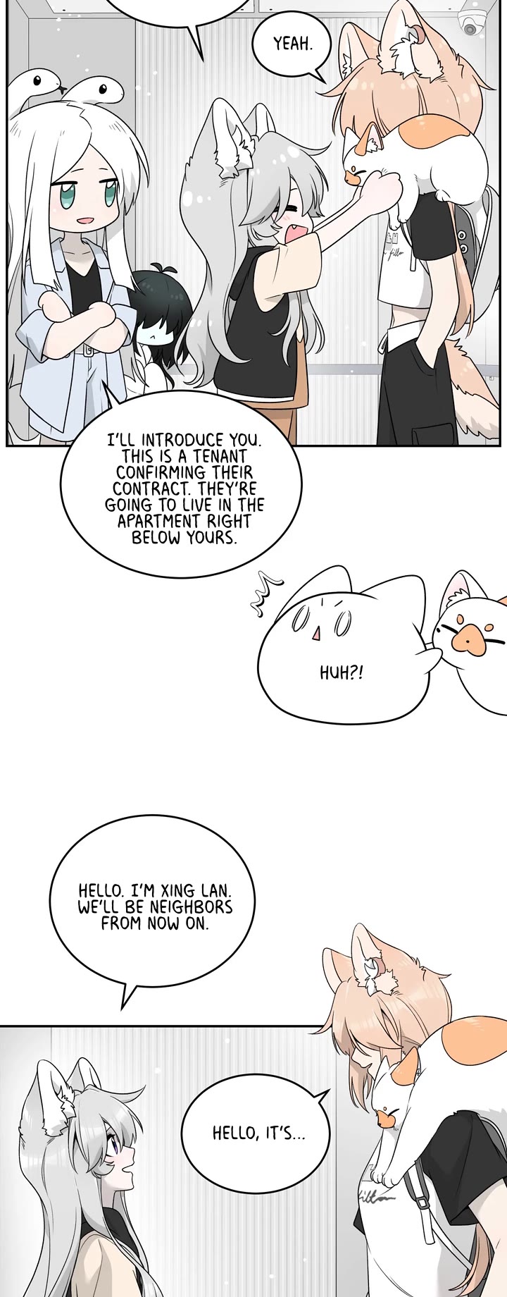 My Food Looks Very Cute Chapter 144 page 14 - Chapter 144: New Tenant