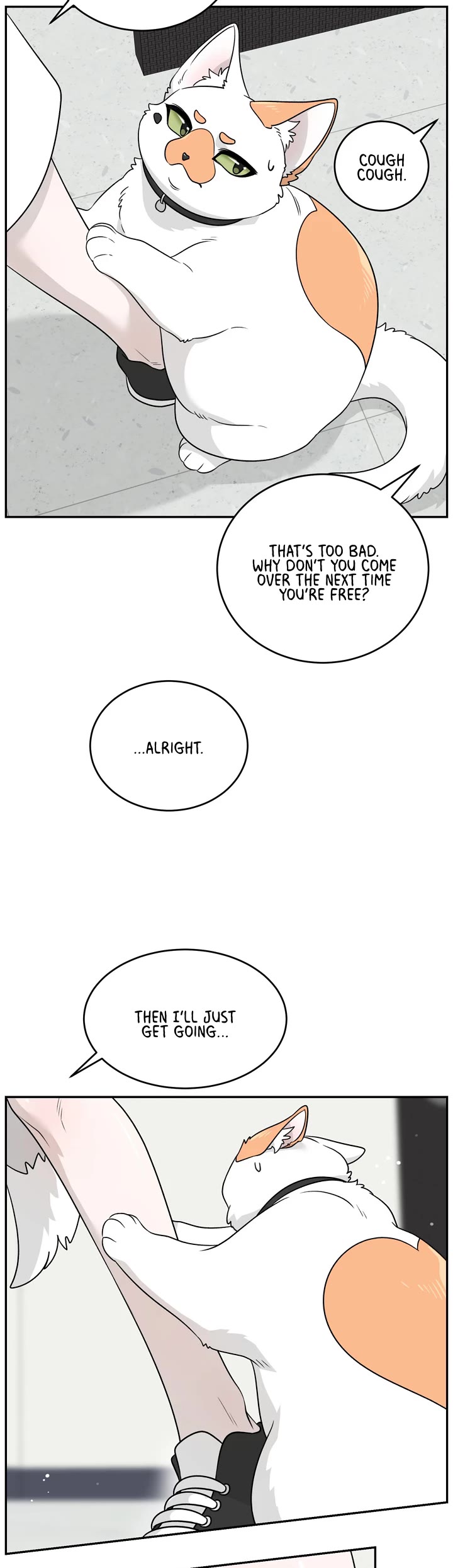 My Food Looks Very Cute Chapter 145 page 14 - Chapter 145: Villain! Pervert! Big Fat Idiot!