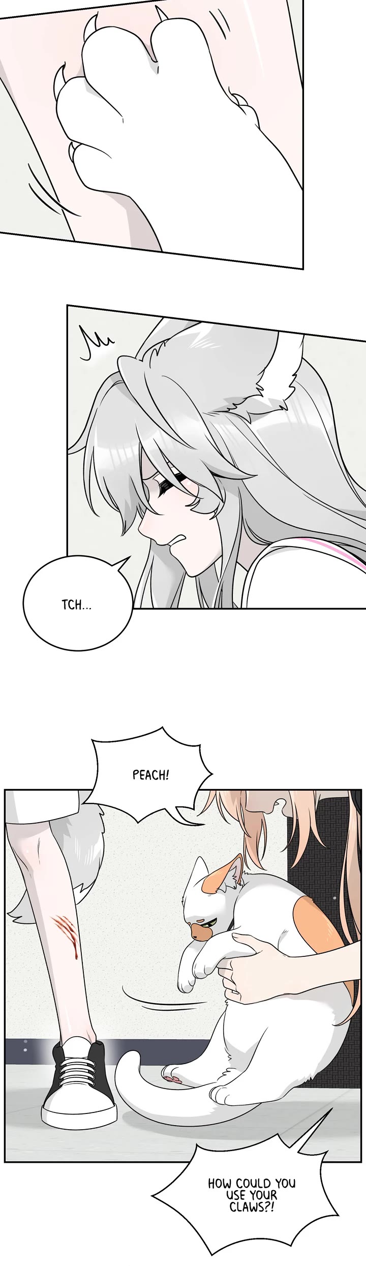 My Food Looks Very Cute Chapter 145 page 15 - Chapter 145: Villain! Pervert! Big Fat Idiot!