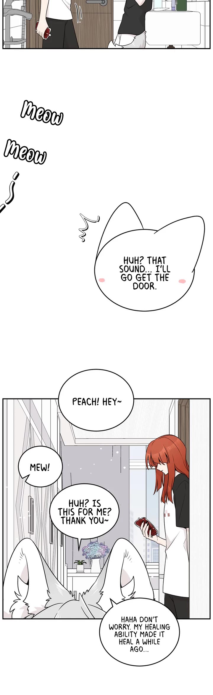 My Food Looks Very Cute Chapter 146 page 5 - Chapter 146: Friend...