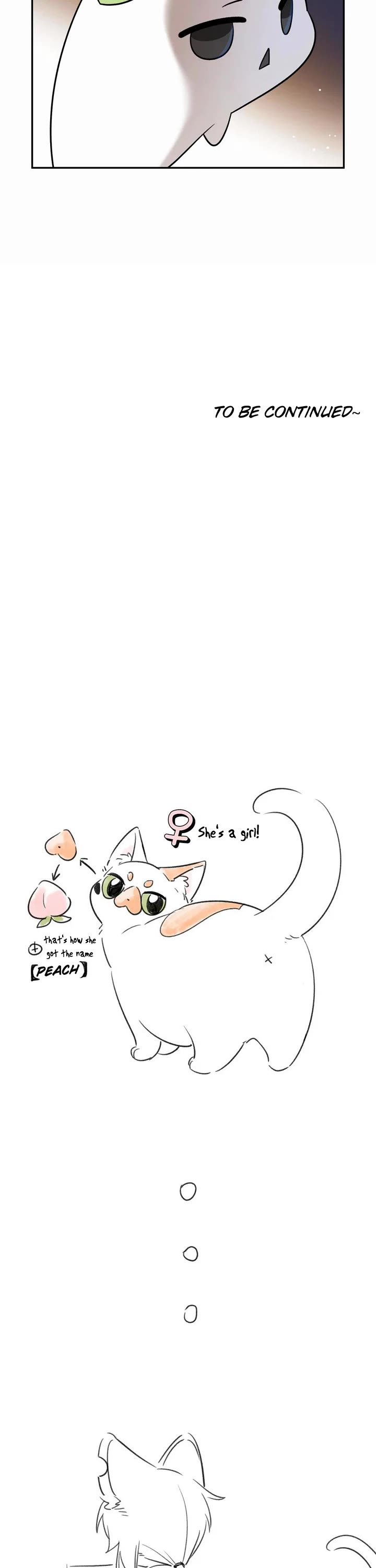 My Food Looks Very Cute Chapter 153 page 18 - Chapter 153: Sighing partners