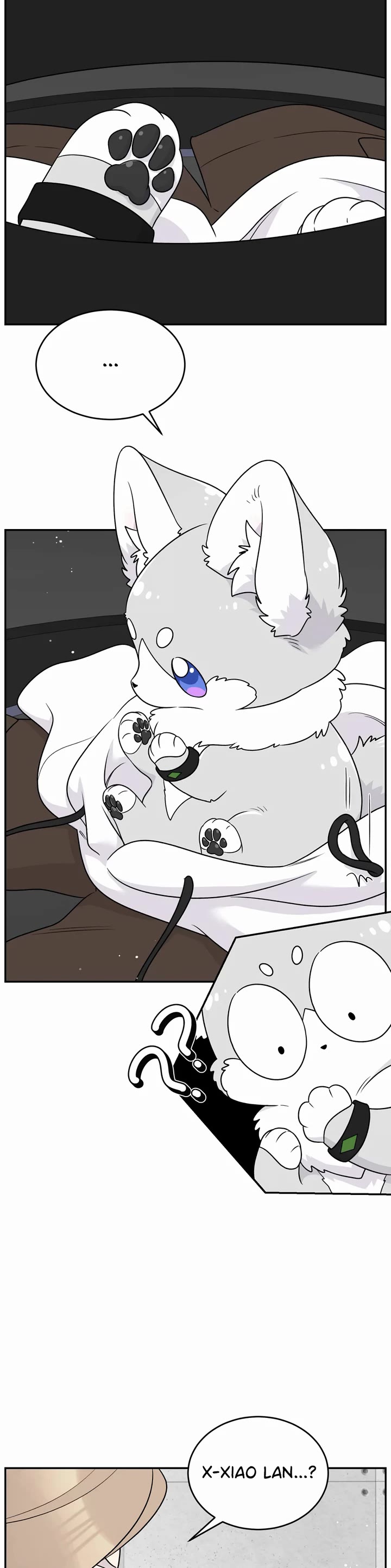 My Food Looks Very Cute Chapter 177 page 4 - Chapter 177: What's going to happen next?