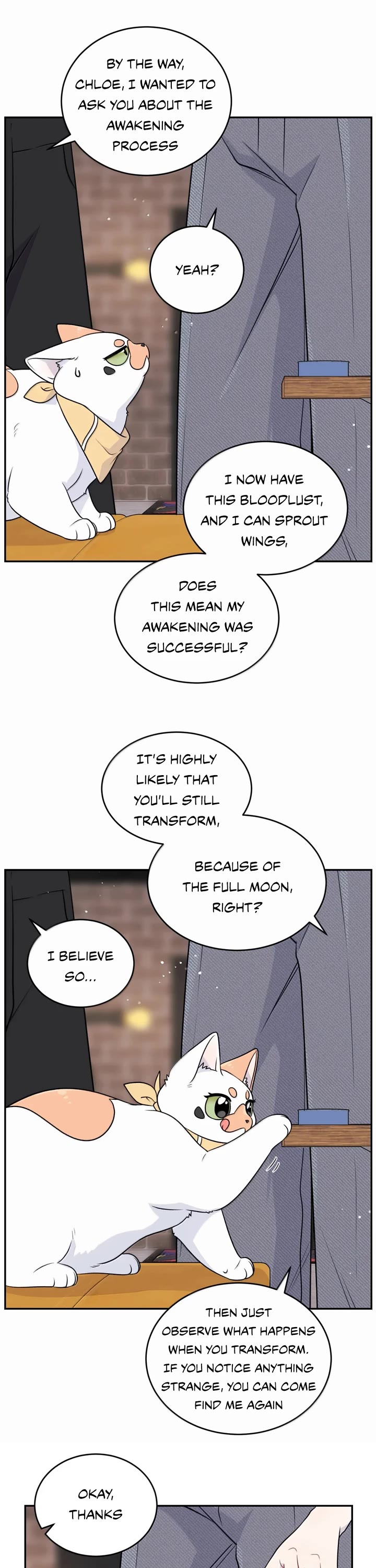 My Food Looks Very Cute Chapter 193 page 11 - Chapter 193: Look at me
