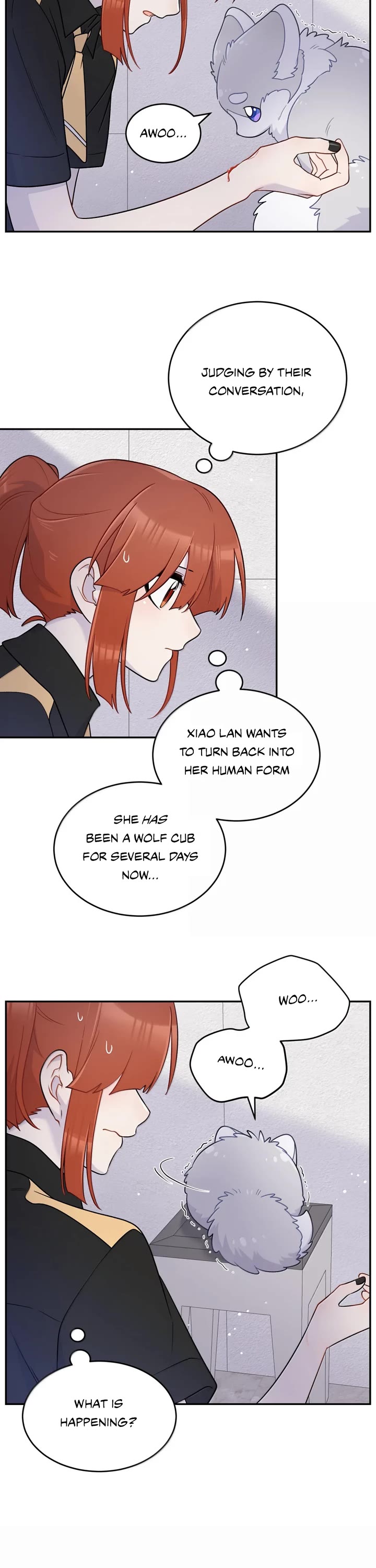 My Food Looks Very Cute Chapter 203 page 17 - Chapter 203: Unexpected and without warning