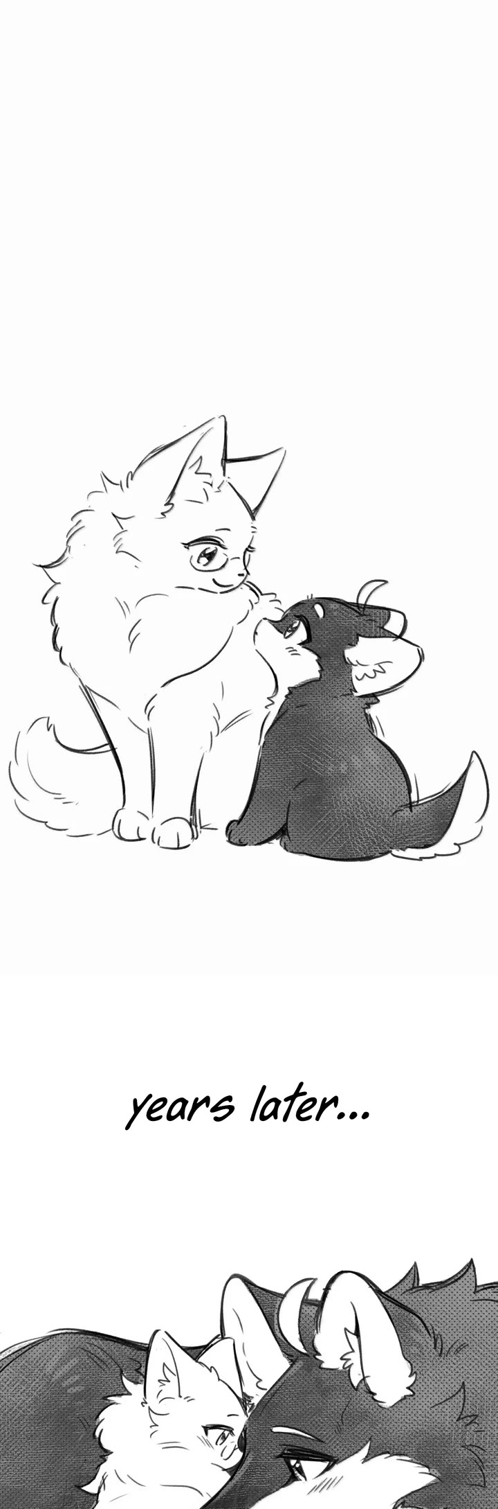 My Food Looks Very Cute Chapter 214 page 22 - Chapter 214: secret messages