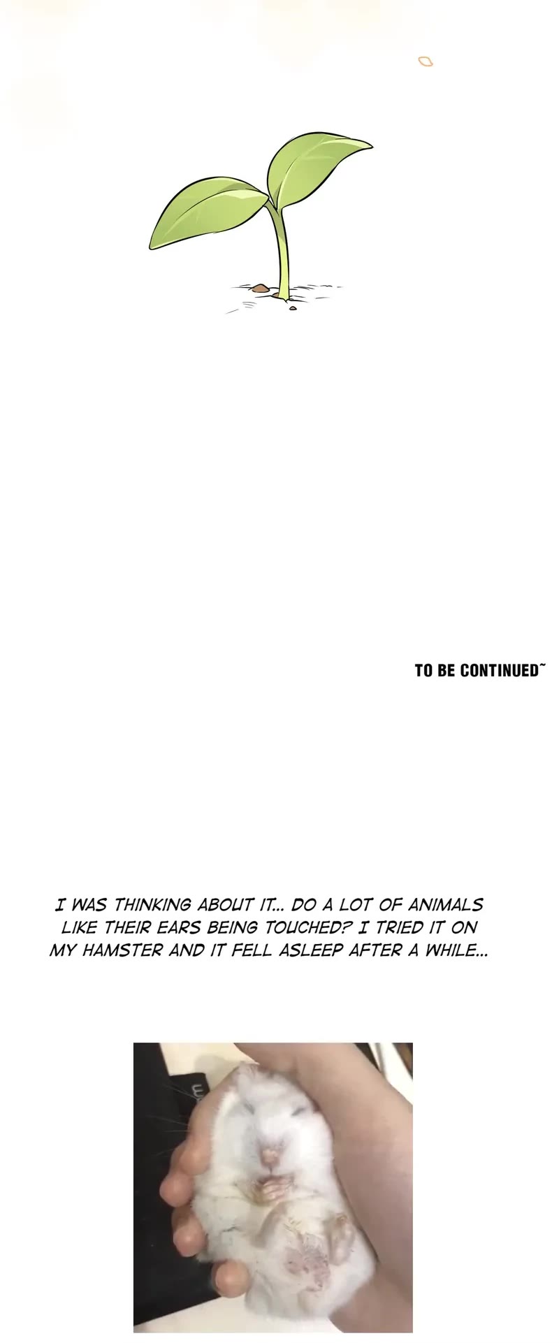 My Food Looks Very Cute Chapter 51 page 15 - Chapter 51: I Was Worried About You
