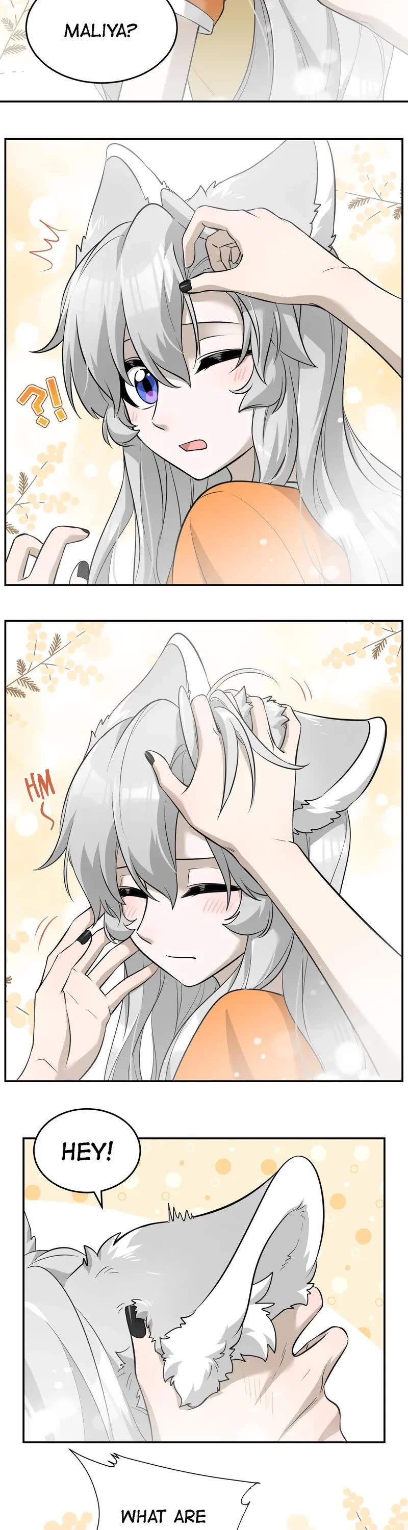 My Food Looks Very Cute Chapter 65 page 2 - Chapter 65: What Did You Dream About