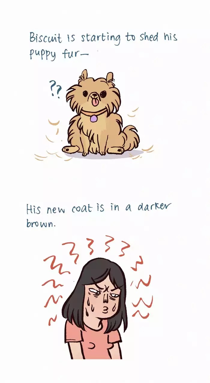 My Giant Nerd Boyfriend Chapter 213 page 2 - Chapter 213: Brown Fur