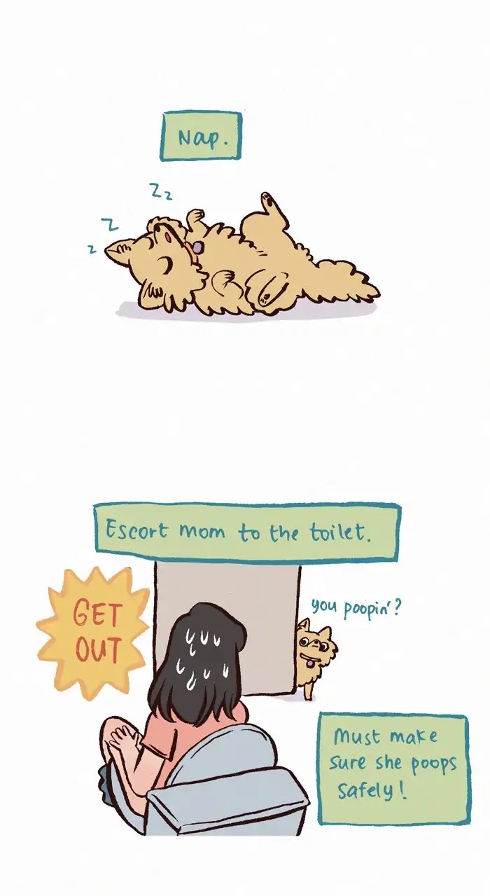 My Giant Nerd Boyfriend Chapter 231 page 5 - Chapter 231: A Day with Biscuit