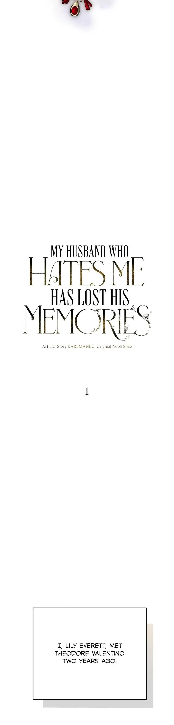 My Husband Hates Me, But He Lost His Memories Chapter 1 page 7 - Chapter 1