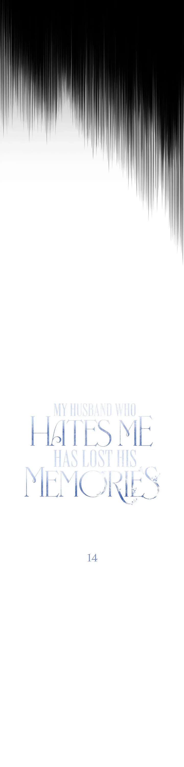 My Husband Hates Me, But He Lost His Memories Chapter 14 page 13 - Chapter 14