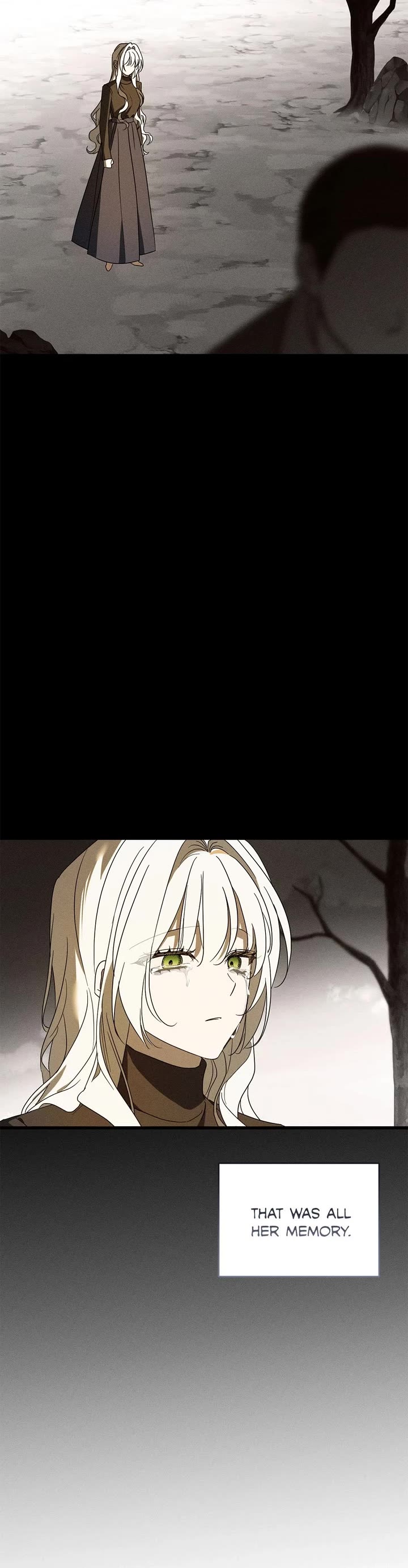 My Husband Hates Me, But He Lost His Memories Chapter 63 page 25 - Chapter 63