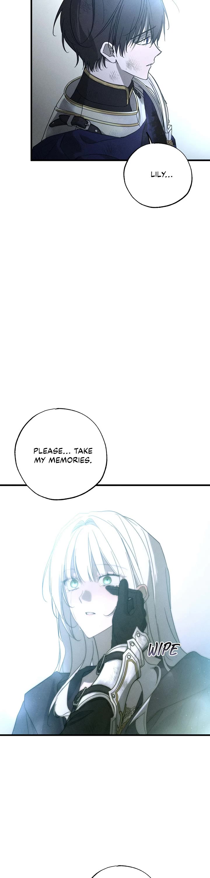 My Husband Hates Me, But He Lost His Memories Chapter 95 page 41 - Chapter 95