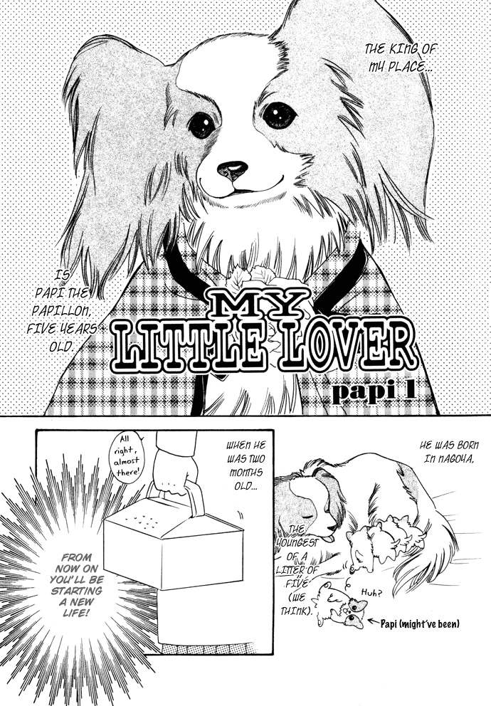 My Little Lover Chapter 1 page 6 - Chapter 1