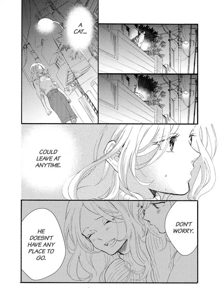 My Little, Stray Cat Chapter 1 page 37 - Chapter 1