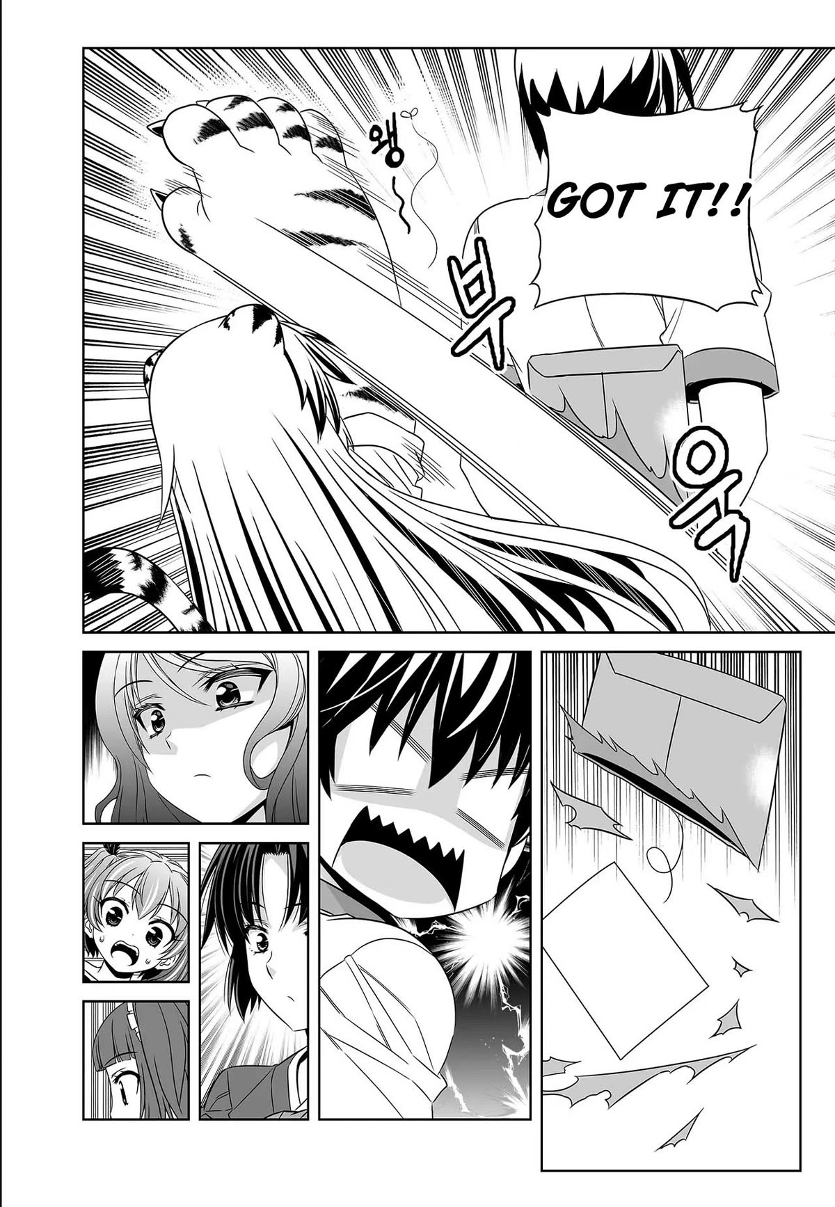 My Love Tiger Chapter 251 page 13 - Chapter 251