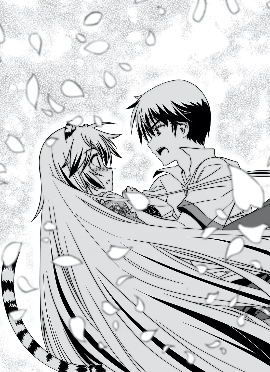 My Love Tiger Chapter 317 page 15 - Chapter 317