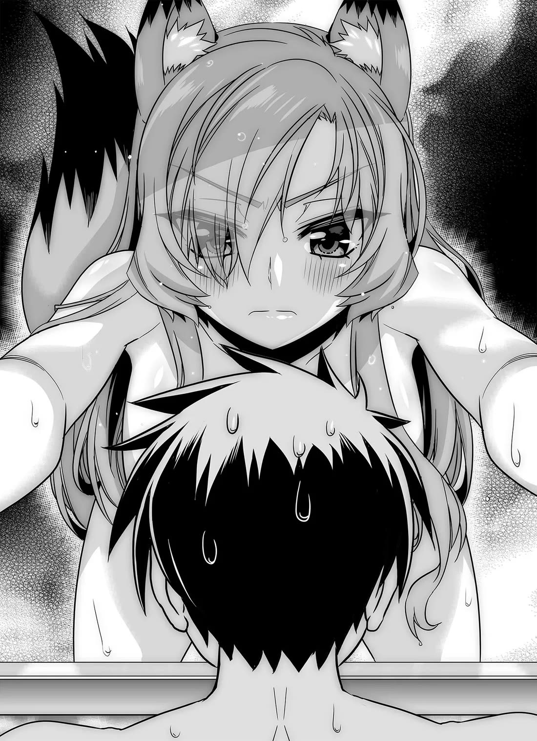 My Love Tiger Chapter 335 page 2 - Chapter 335