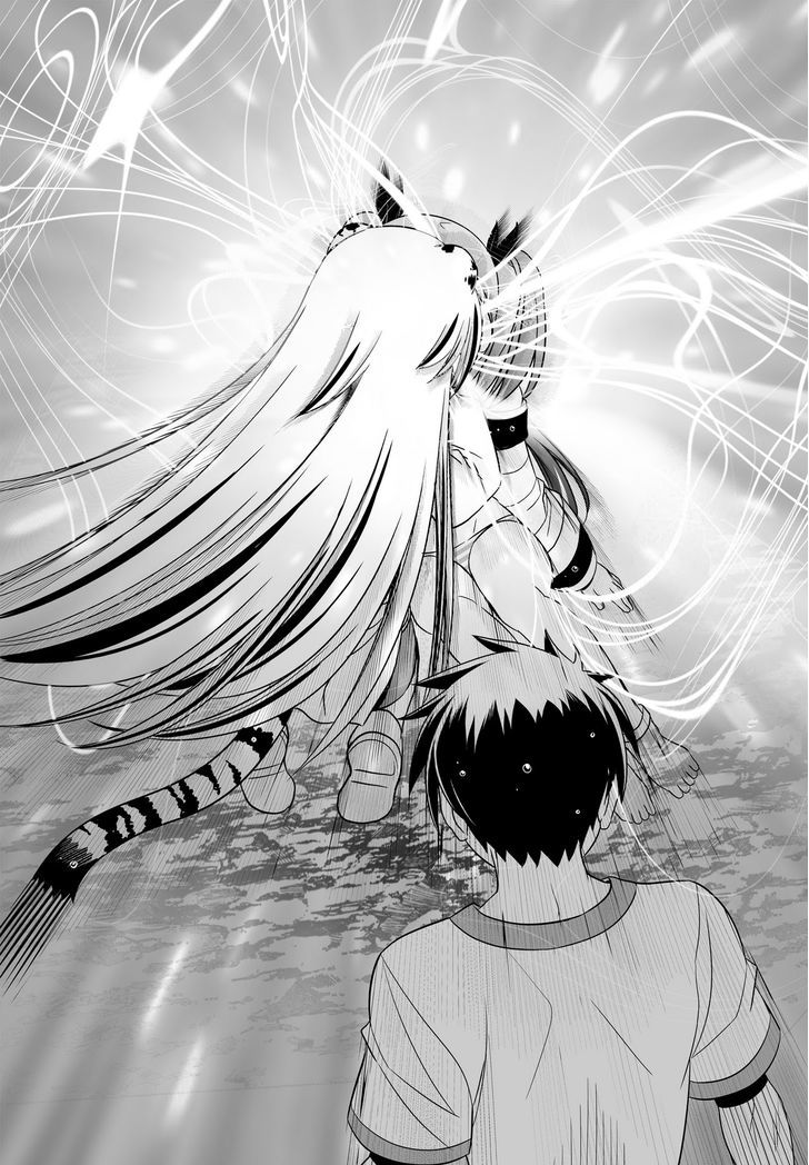 My Love Tiger Chapter 68 page 4 - Chapter 68
