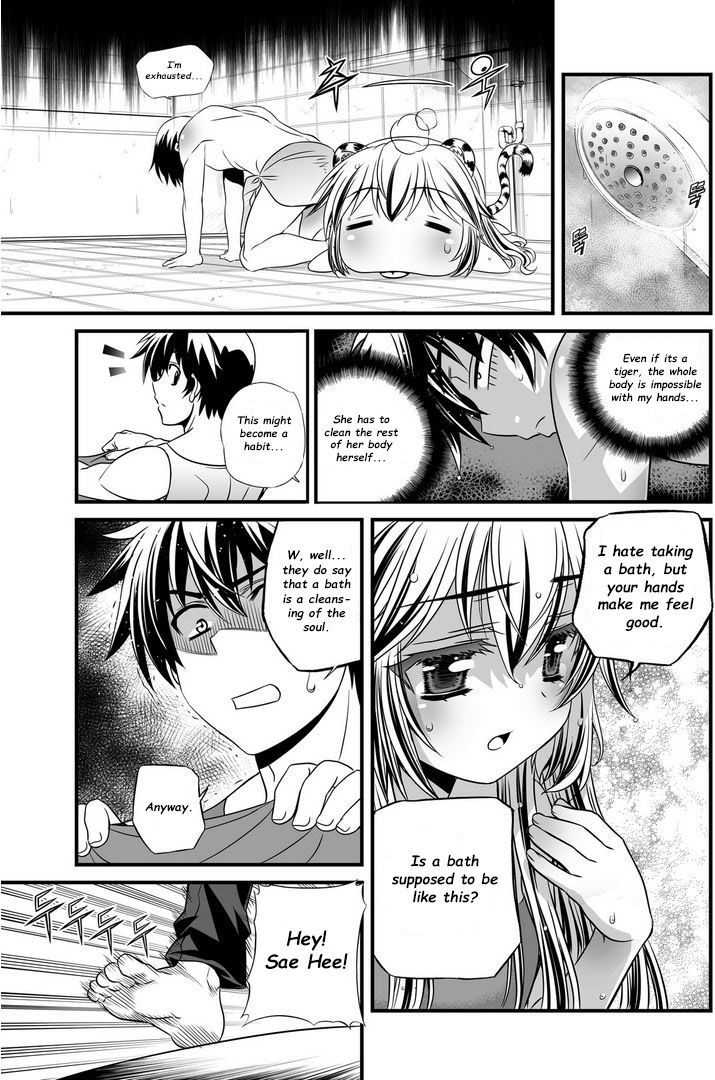 My Love Tiger Chapter 7 page 12 - Chapter 7