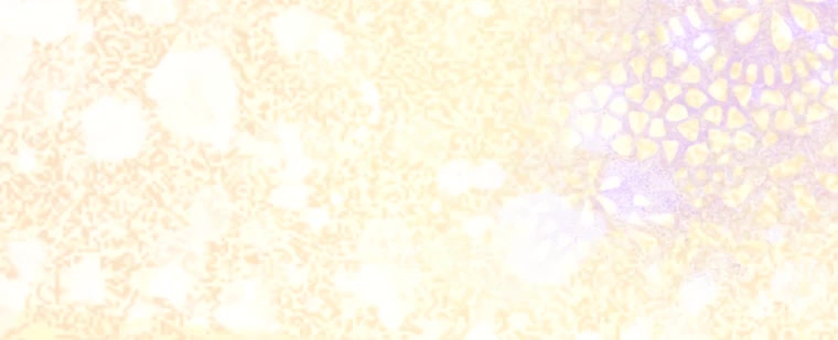 My Mom Entered a Contract Marriage Chapter 20 page 9 - Chapter 20