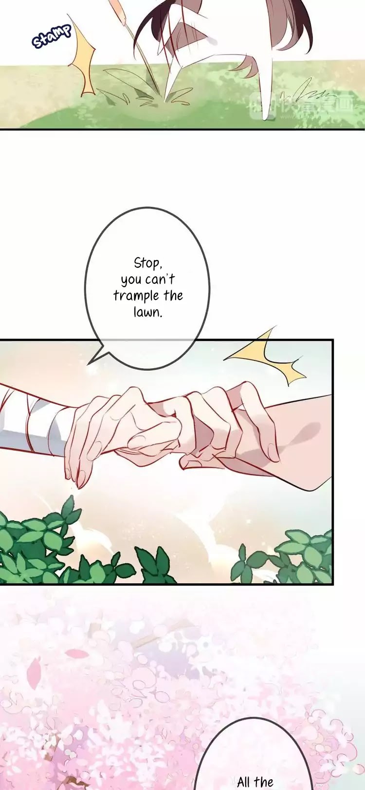 My Phoenix's on Top Chapter 7 page 22 - Chapter 7: I want to know your true intentions