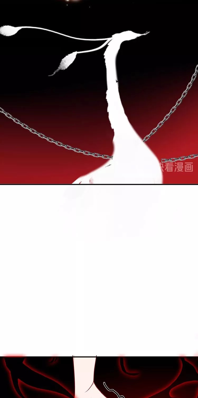 My Phoenix's on Top Chapter 86 page 27 - Chapter 86: Last Wisp of Love