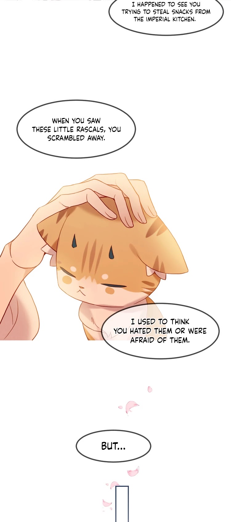My Phoenix's on Top Chapter 97 page 10 - Chapter 97: Ring