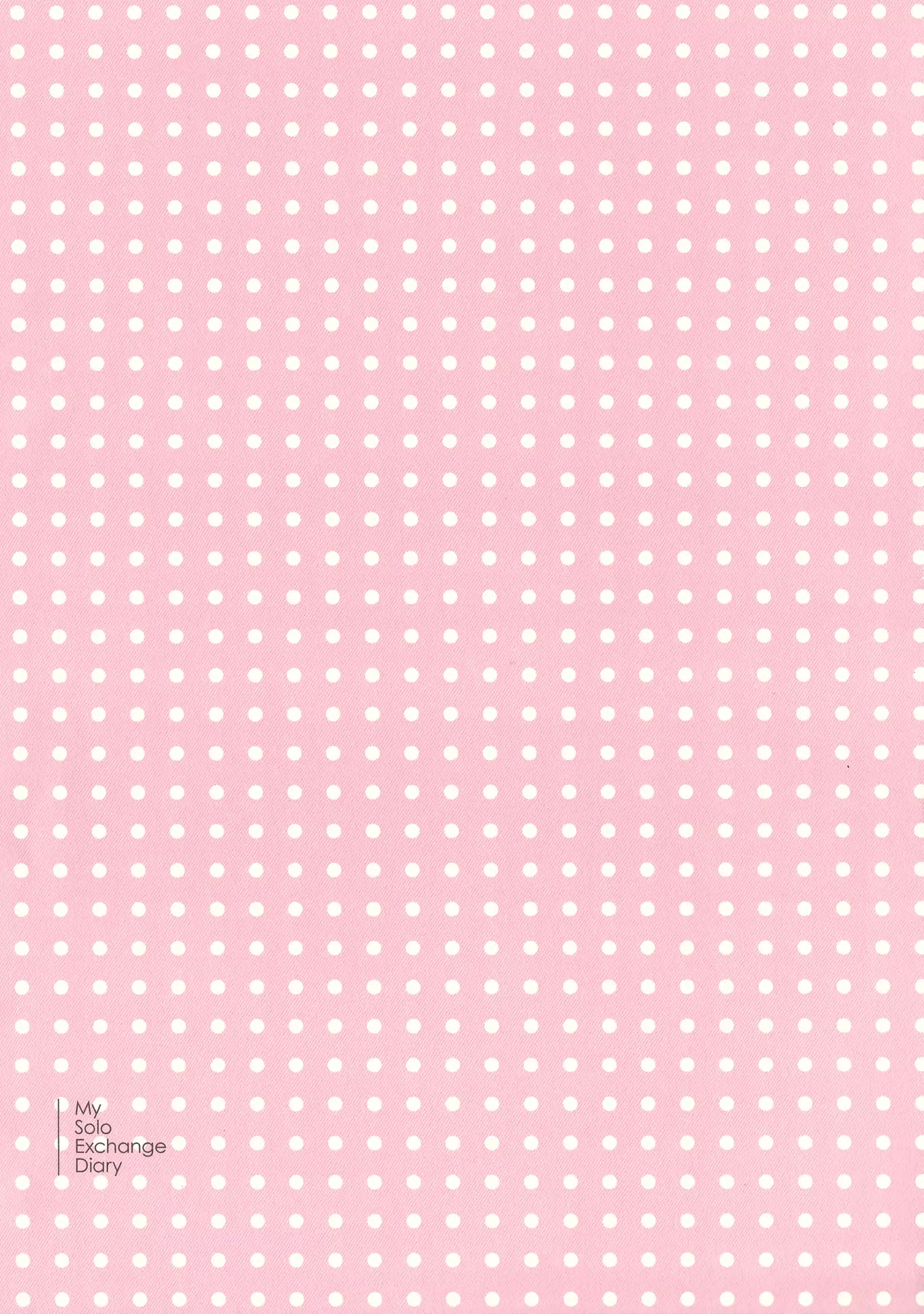 My Solo Exchange Diary Chapter 5 page 13 - Chapter 5: Vol.1 Entry No.5