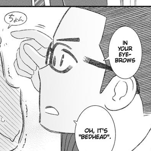 My Son Is Probably Gay Chapter 17.5: Twitter extra: Older Bro's Good Points & Lucky Bedhead cover
