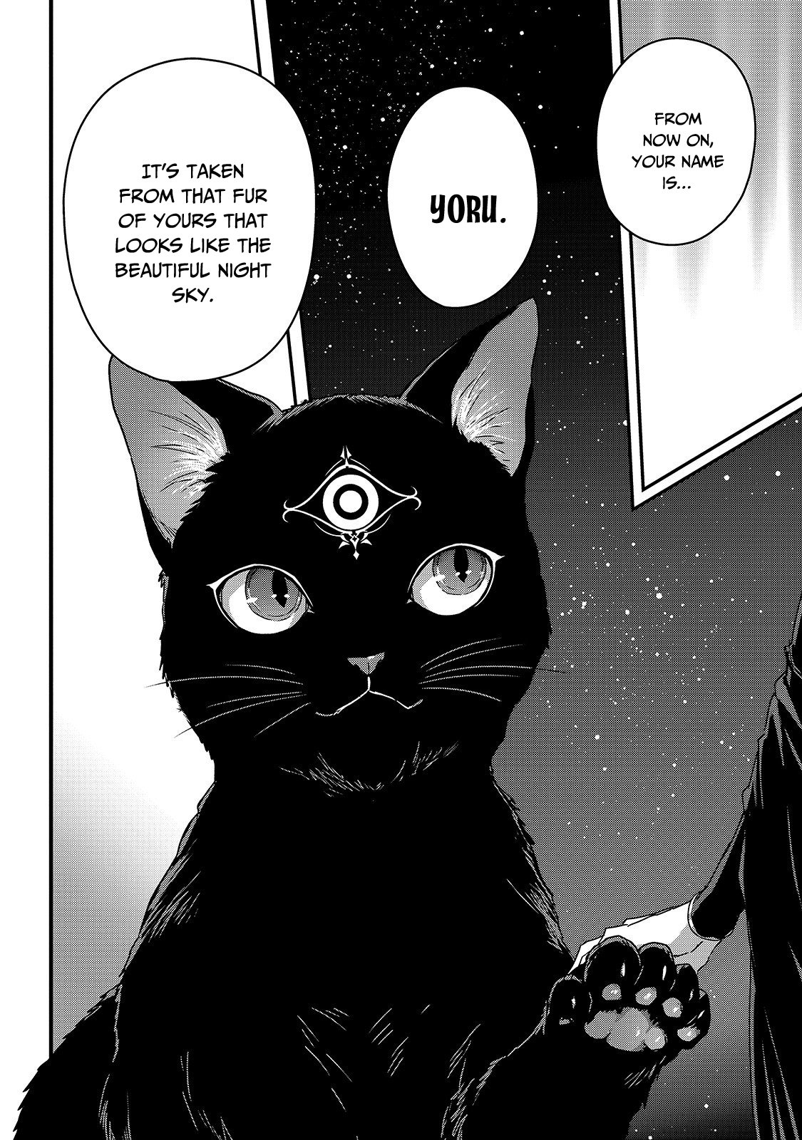 My Status as an Assassin Obviously Exceeds the Brave's Chapter 11 page 21 - Chapter 11