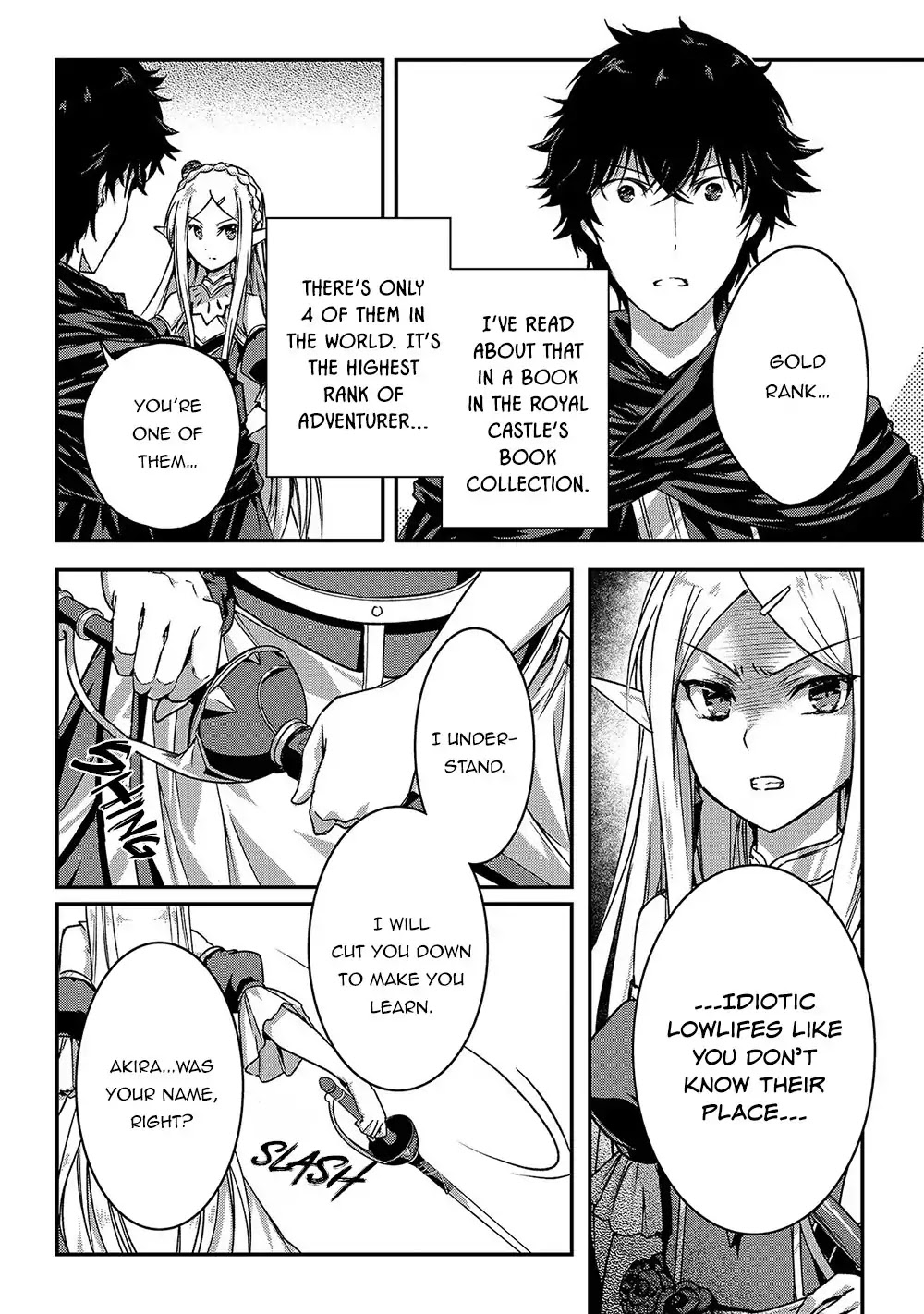 My Status as an Assassin Obviously Exceeds the Brave's Chapter 14 page 17 - Chapter 14