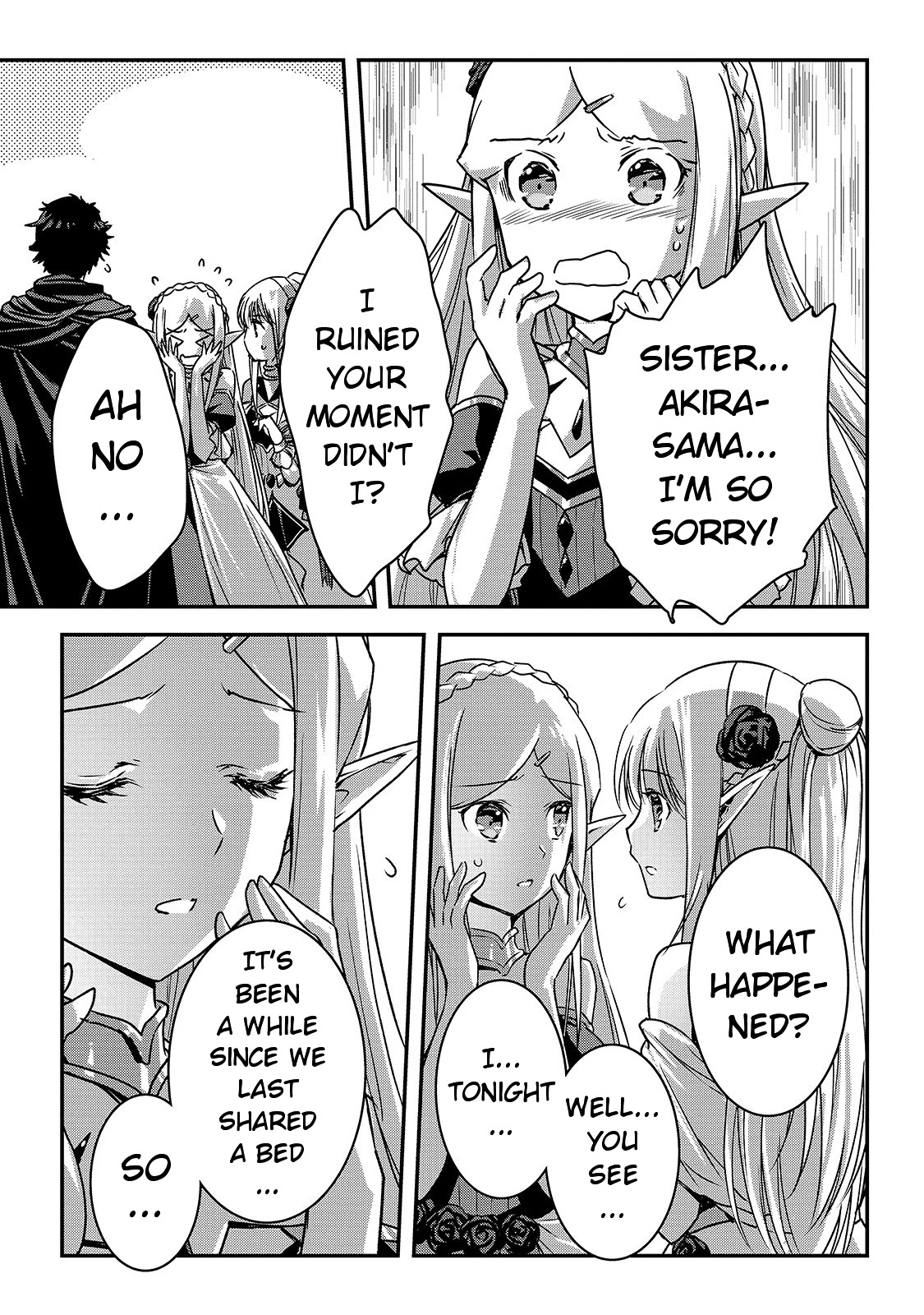 My Status as an Assassin Obviously Exceeds the Brave's Chapter 19 page 24 - Chapter 19: Elf Territory (7)