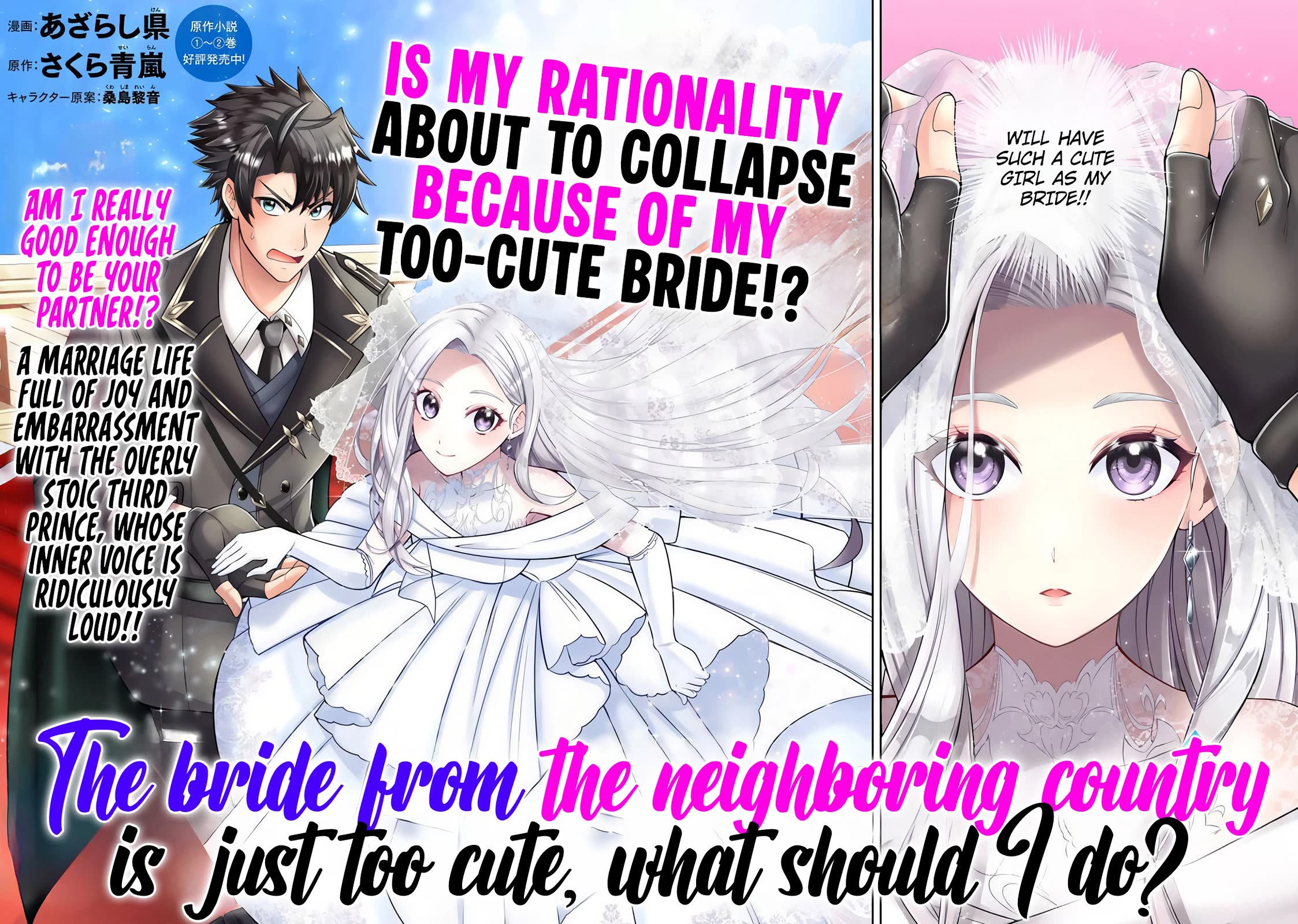 My Wife from the Neighboring Country Is So Cute, I Don't Know What to Do! Chapter 1 page 3 - Chapter 1
