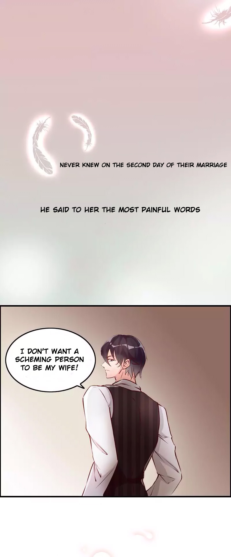 My Wife Is Cold-Hearted Chapter 0 page 5 - Chapter 0: Prologue