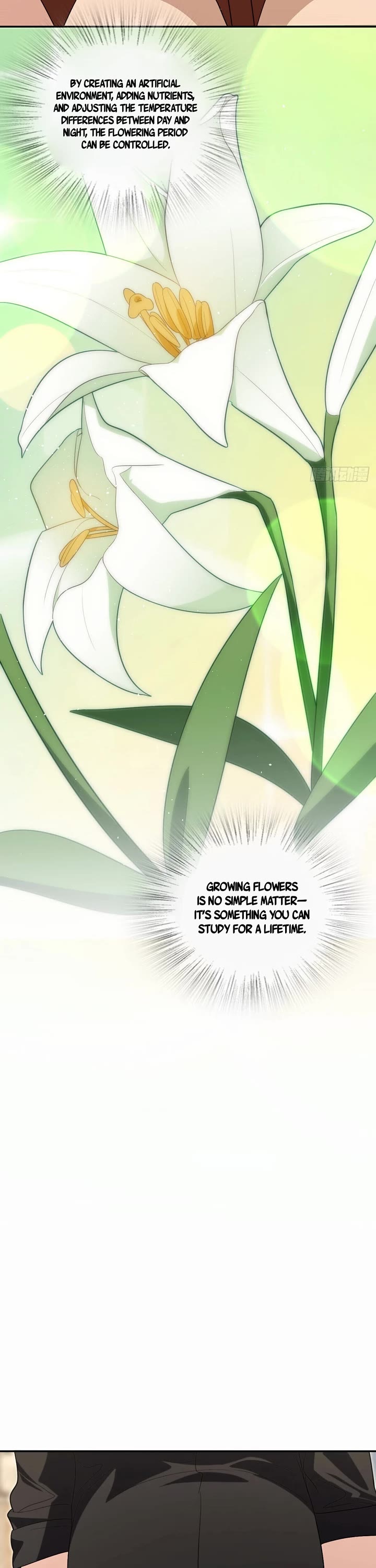 My Wife Is From a Thousand Years Ago Chapter 324 page 12 - Chapter 324