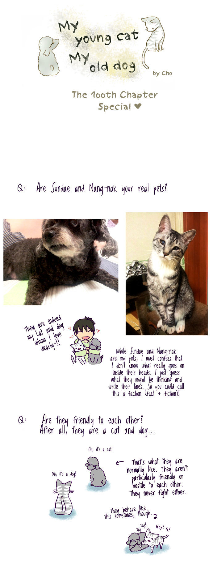My Young Cat and My Old Dog Chapter 100 page 1 - Chapter 100 : The 100th Chapter Special