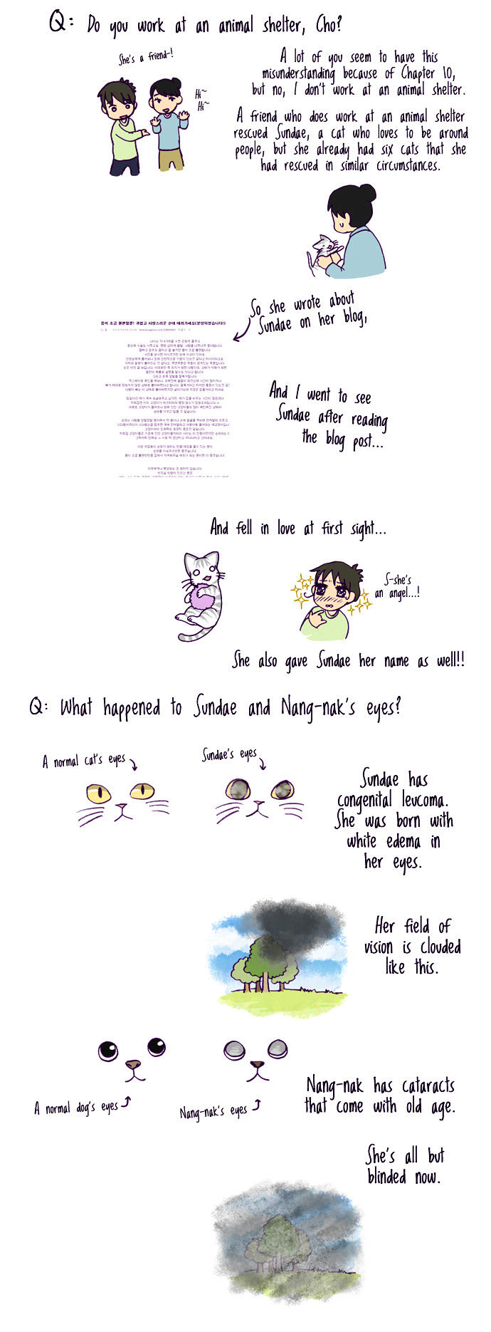 My Young Cat and My Old Dog Chapter 100 page 2 - Chapter 100 : The 100th Chapter Special