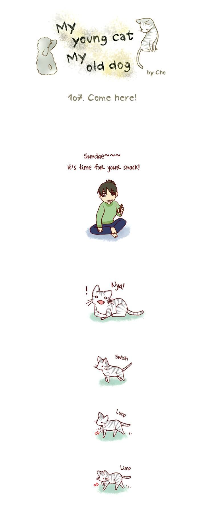 My Young Cat and My Old Dog Chapter 107 page 1 - Chapter 107 : Chapter 107 & 108