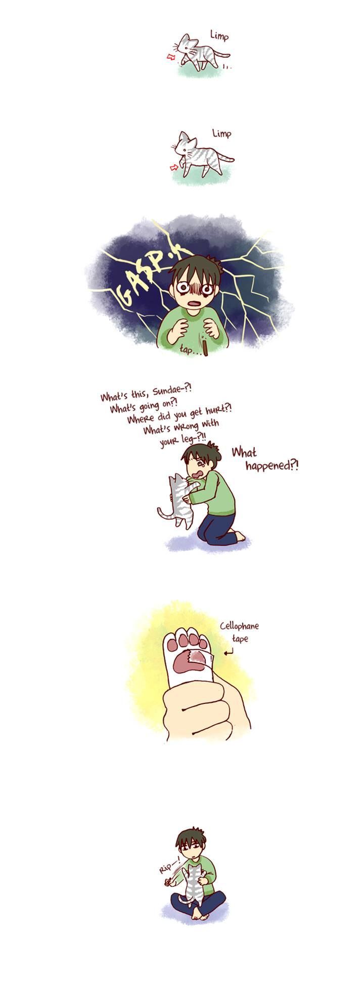 My Young Cat and My Old Dog Chapter 107 page 2 - Chapter 107 : Chapter 107 & 108