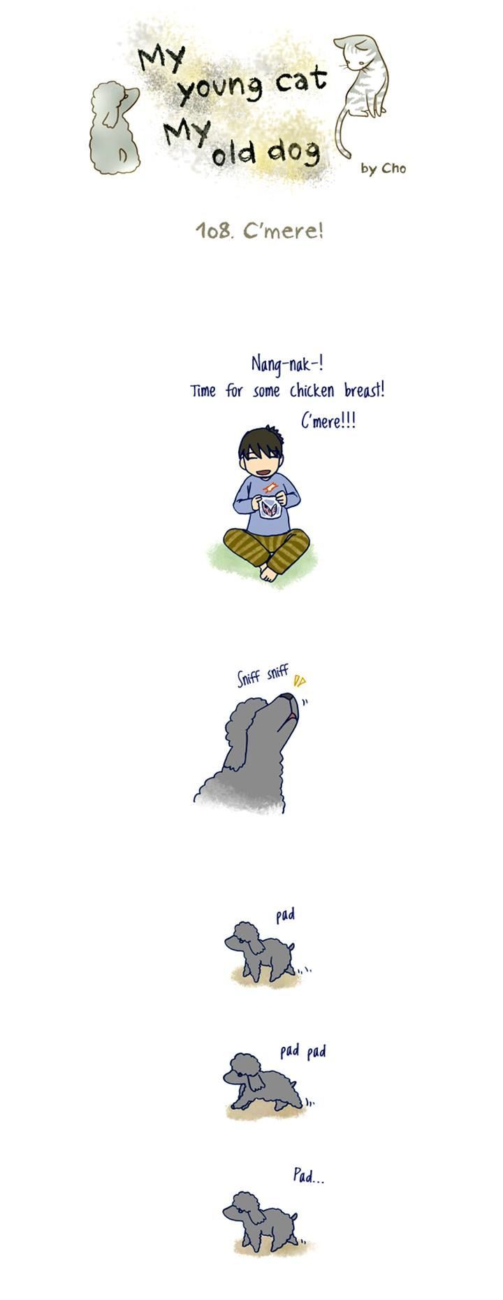 My Young Cat and My Old Dog Chapter 107 page 3 - Chapter 107 : Chapter 107 & 108