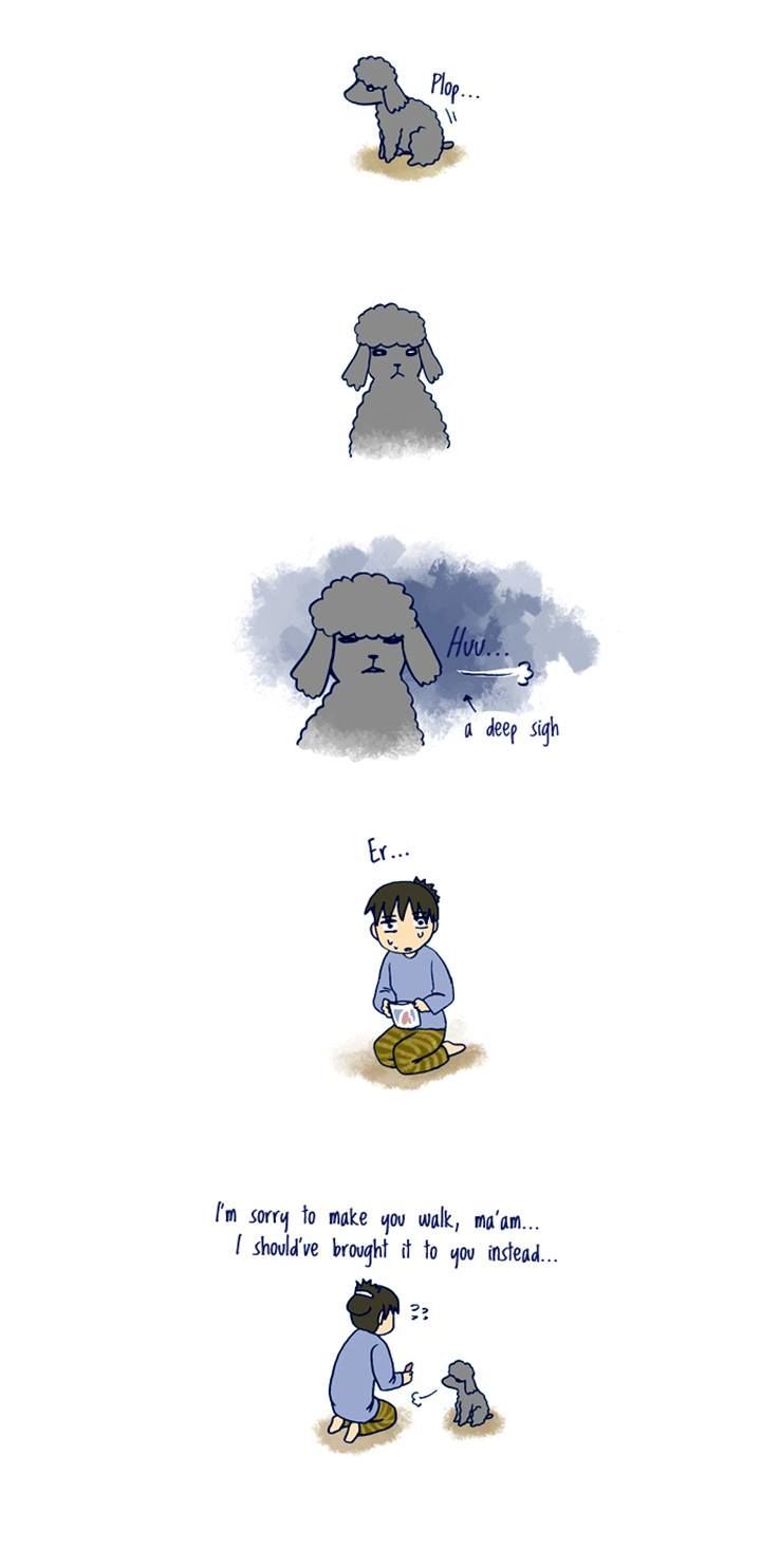 My Young Cat and My Old Dog Chapter 107 page 4 - Chapter 107 : Chapter 107 & 108