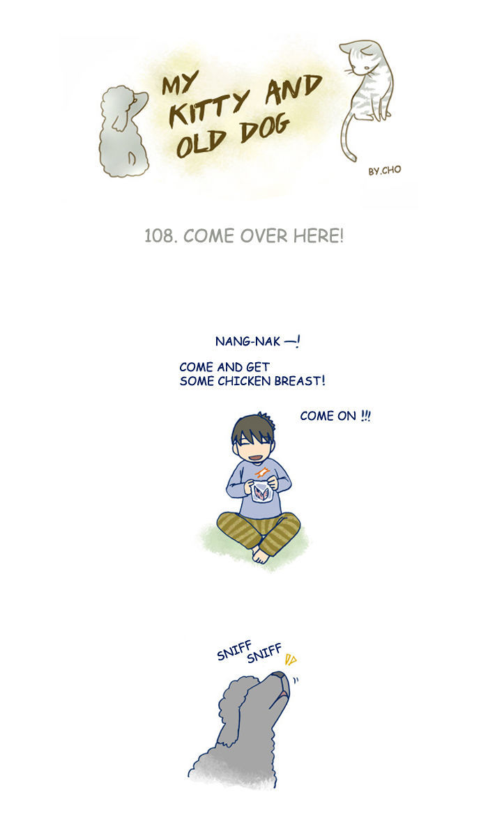 My Young Cat and My Old Dog Chapter 108 page 1 - Chapter 108 : Come here!