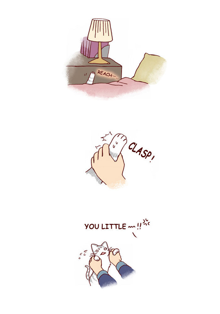 My Young Cat and My Old Dog Chapter 109 page 3 - Chapter 109 : A Touch Addiction