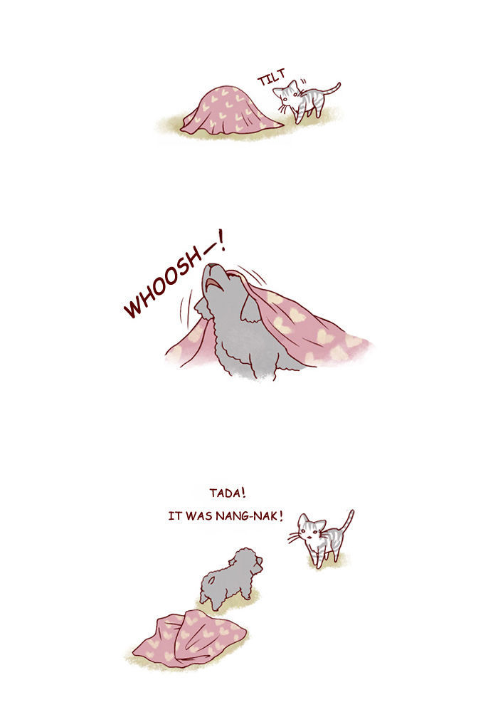My Young Cat and My Old Dog Chapter 112 page 2 - Chapter 112 : Tada