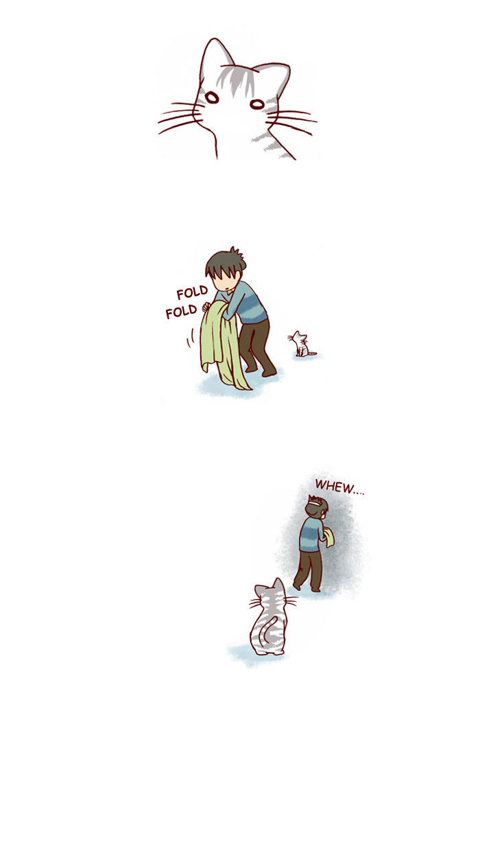 My Young Cat and My Old Dog Chapter 112 page 6 - Chapter 112 : Tada