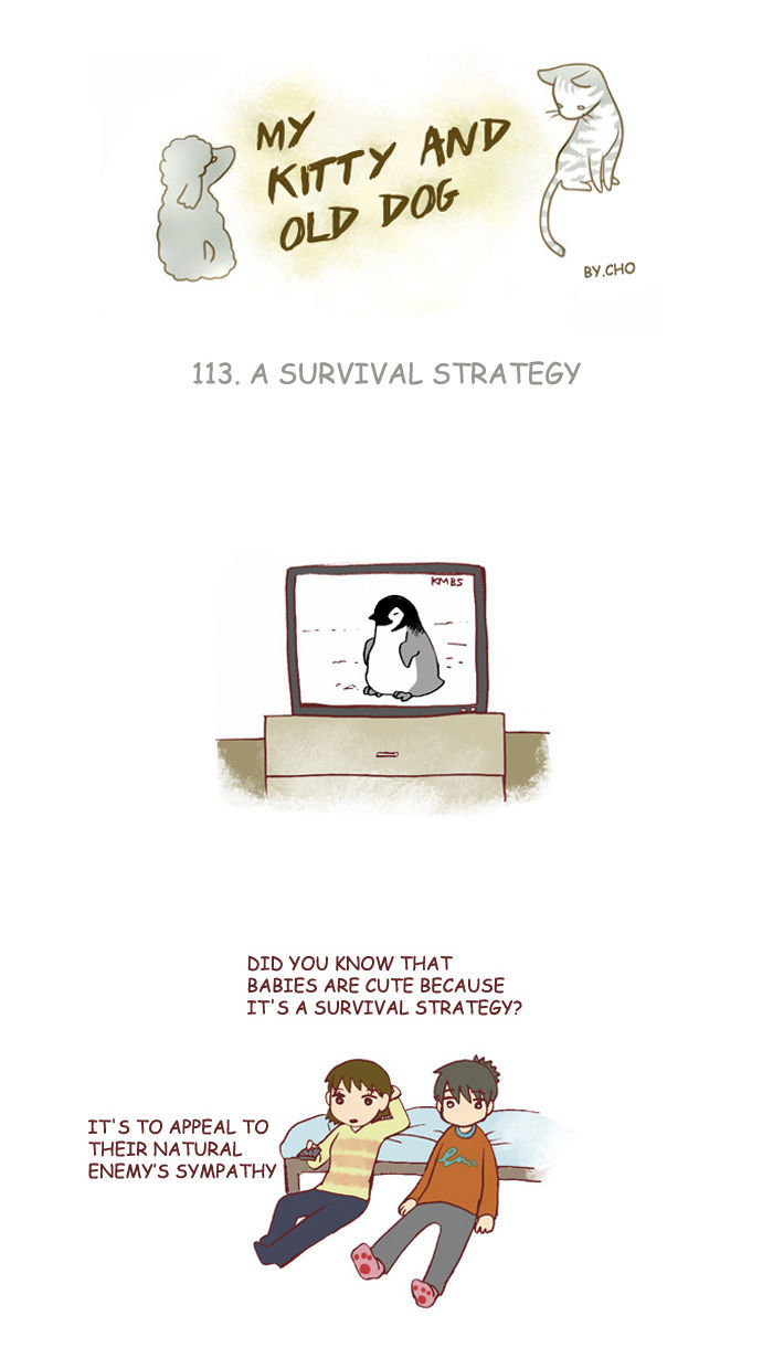 My Young Cat and My Old Dog Chapter 113 page 1 - Chapter 113 : A Survival Strategy